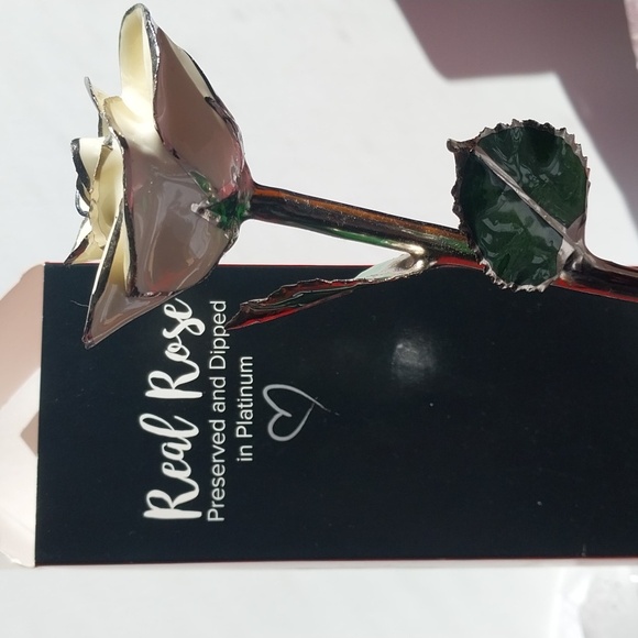 Platinum dipped rose - Picture 2 of 5